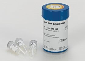 DNA ligation Kit (1 Substrate)