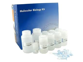 DNA Size Determination Kit