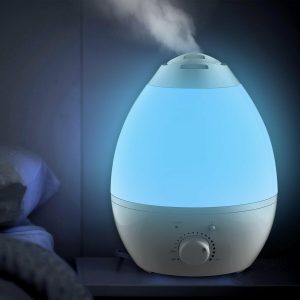 Humidifier