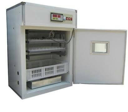 Incubator
