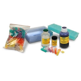 Restriction Digestion Kit