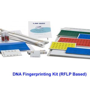 DNA Fingerprinting Kit (RFLP Based)