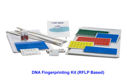 DNA Fingerprinting Kit (RFLP Based)