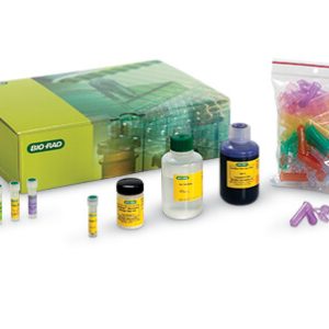 DNA Double digestion kit