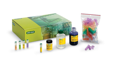 DNA Double digestion kit