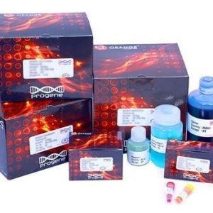 study of blood components kit